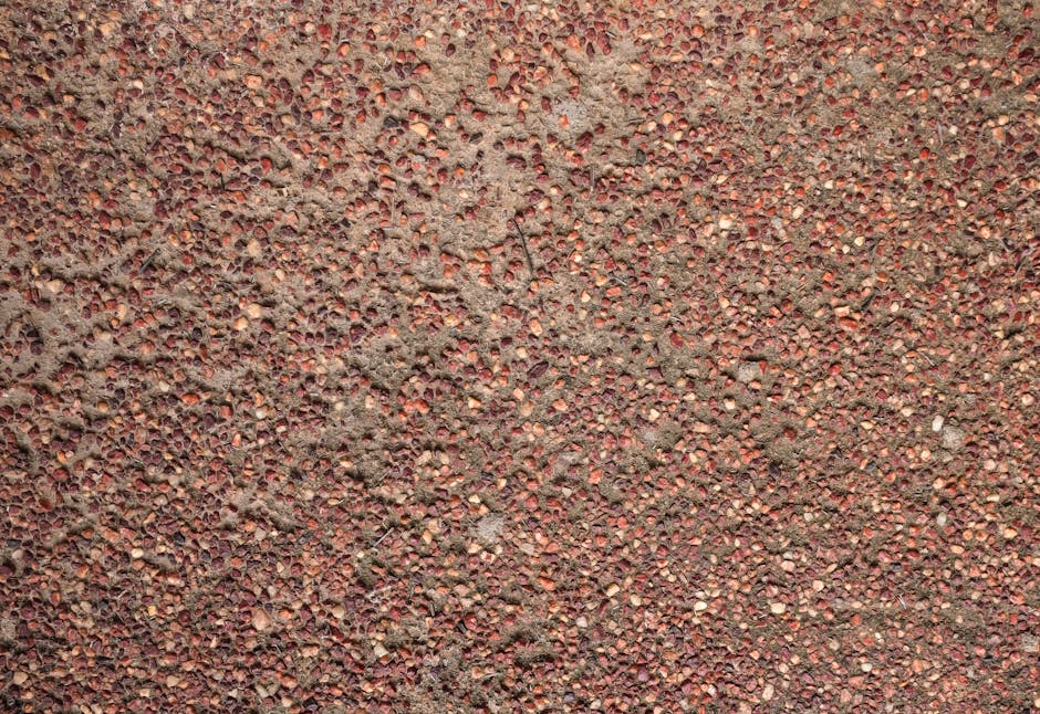 Dış cephe mantolama sisteminde su buharı geçirgenliğini gösteren kesit