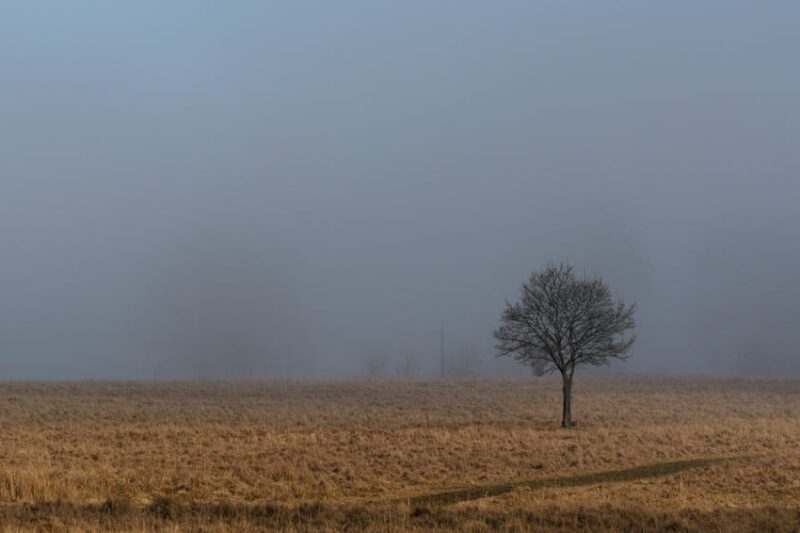 Geri Dönüştürülmüş Kaplama Malzemeleri Dış Cephe Performansı