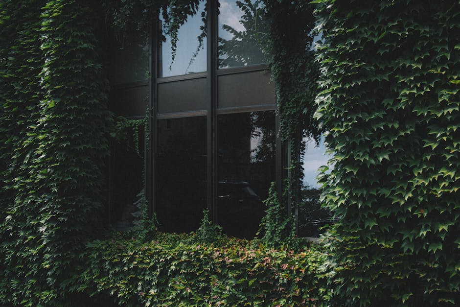 Mantolama sürecinde su buharı geçirgenliğini gösteren dış cephe yalıtım görseli