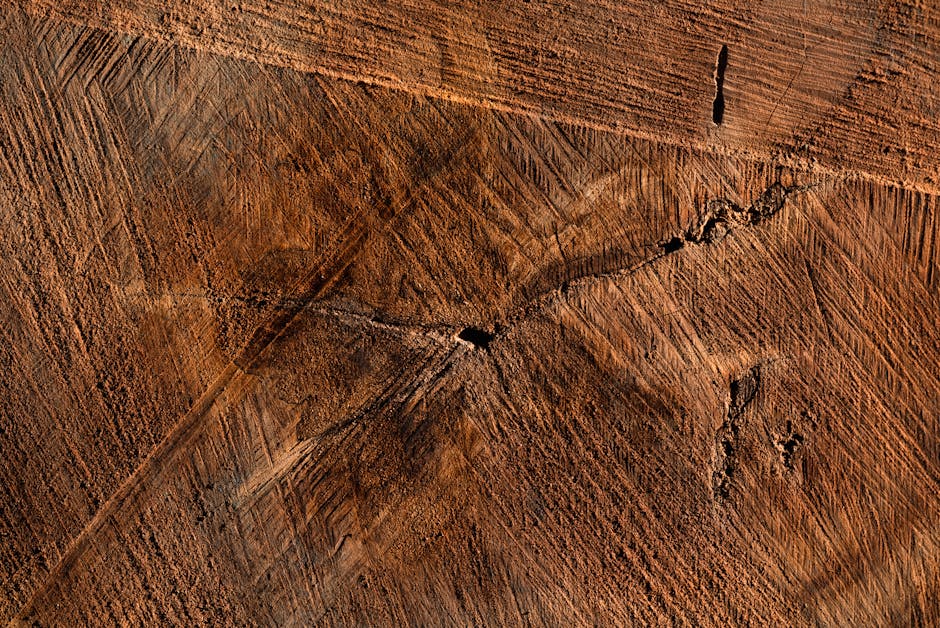 Ahşap panel derz kesiti ve yalıtım aralığı görselleştirme