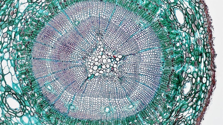 Dış cephe kaplama katmanları arasındaki bağlantı ve yalıtım tabakaları